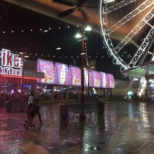 Meet your Posher, Dawson